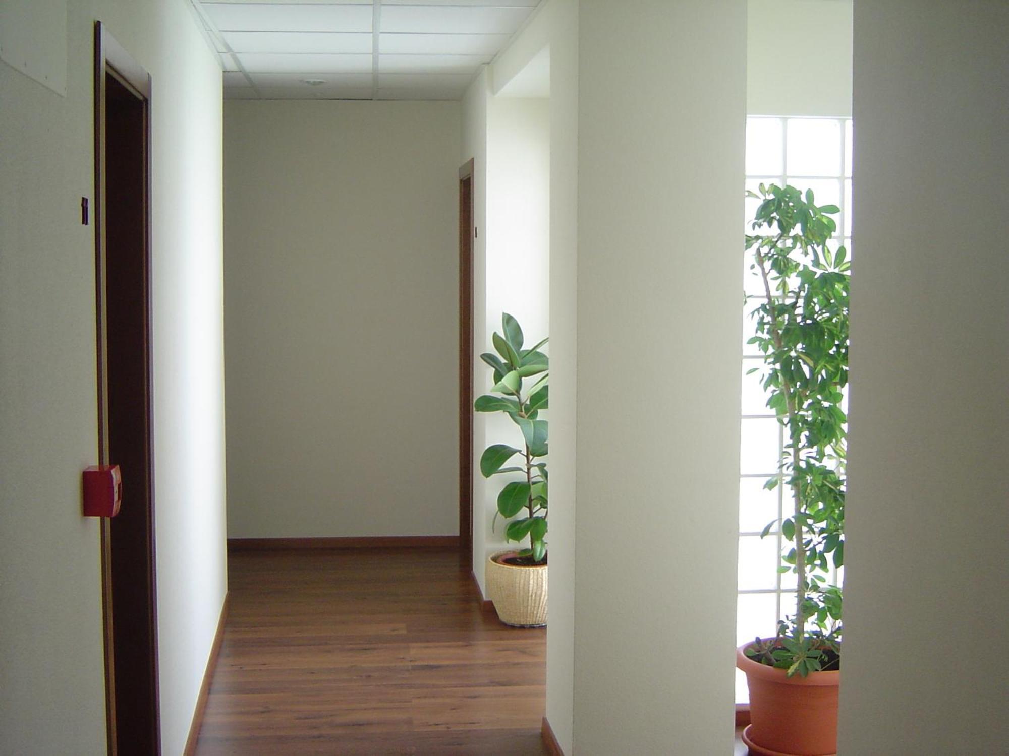 Hostal El Estudio Almansa Bagian luar foto
