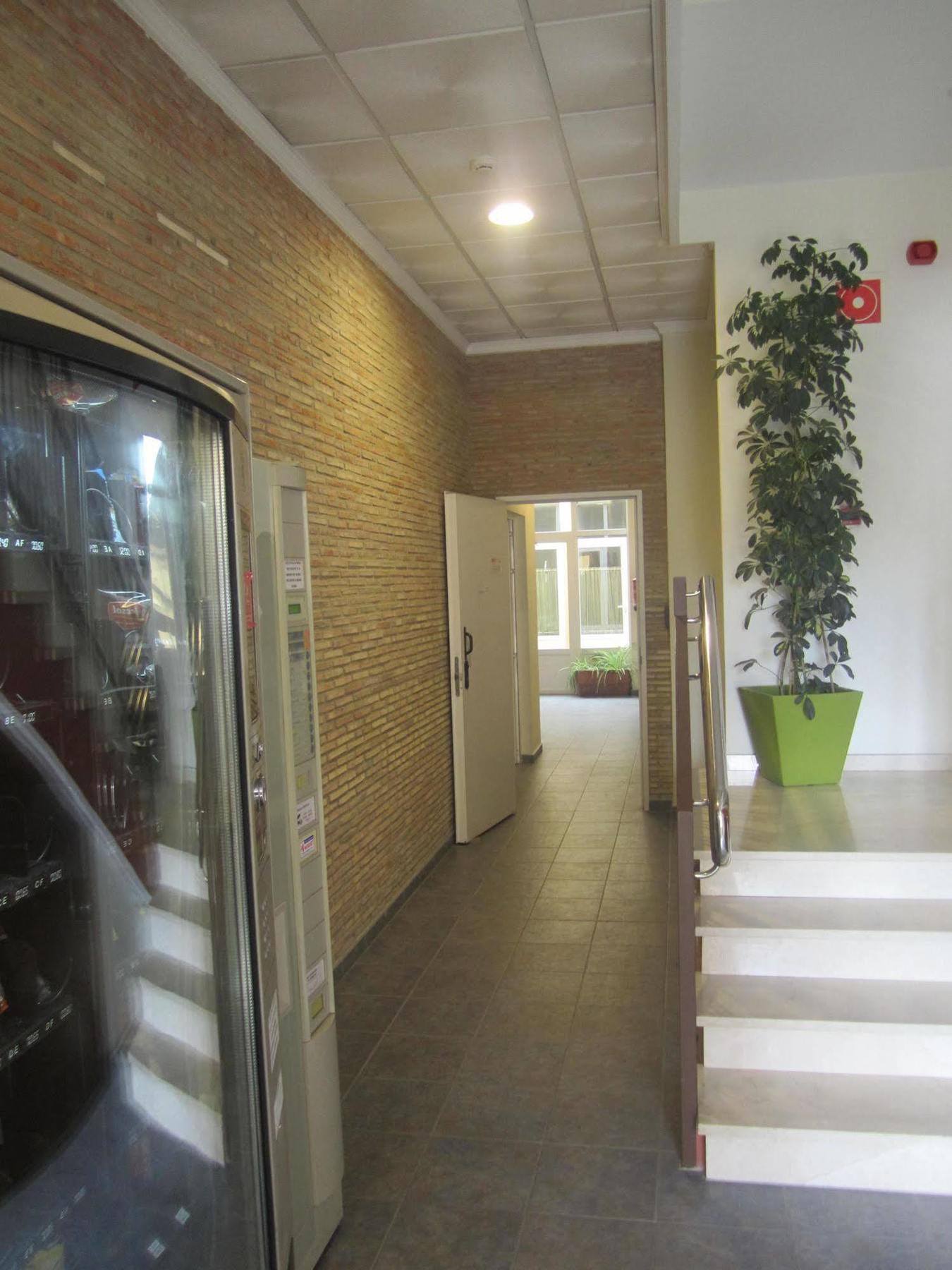 Hostal El Estudio Almansa Bagian luar foto